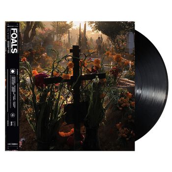 Everything Not Saved Will Be Lost Part Two Vinyl