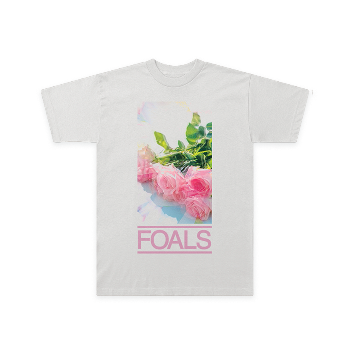 foals cat t shirt